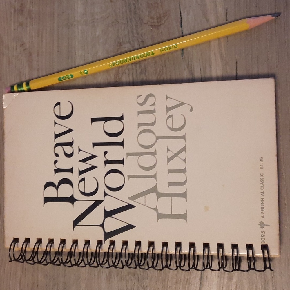 Secret Journal "Brave New World"